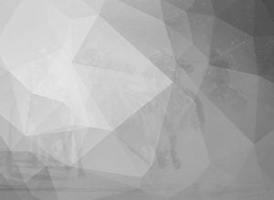 Abstract composite graphic of voronoi triangles and a horserace
